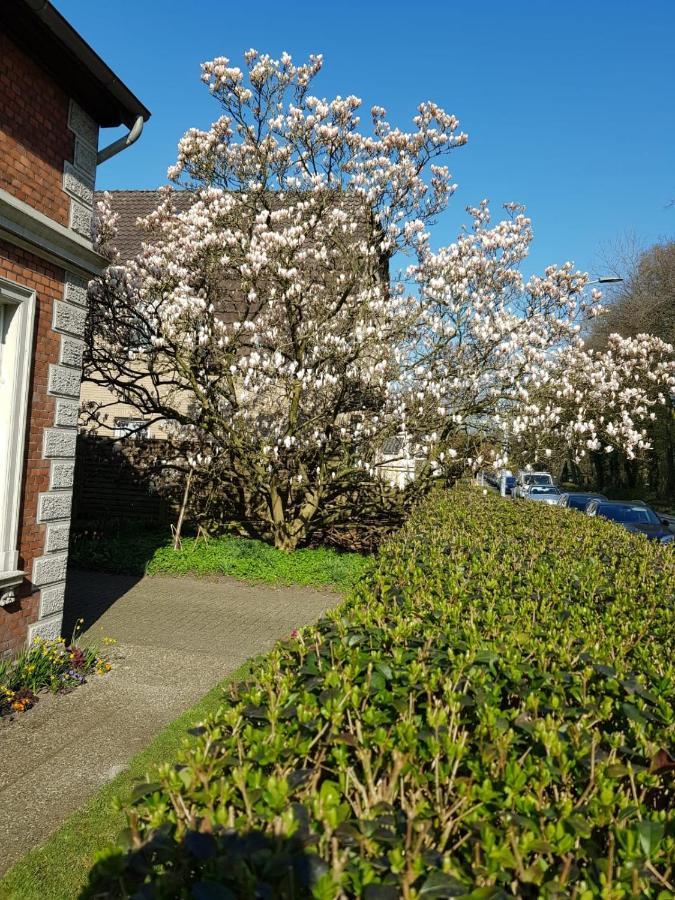 Gartenblick Oldenburg Eksteriør billede